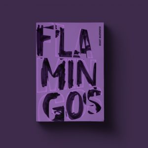 Mario Dzurila Book Cover Design Flamingos ITNA Press AIGA