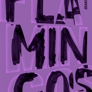 Mario Dzurila Flamingos Book Cover AIGA 50 Books 50 Covers 2016 Grant Maierhofer
